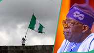 NBS: Nigeria’s economy growth hit 4-year high, 10 sectors lead