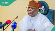 Fayemi breaks silence on forming new ADC coalition with Amaechi, “I remain committed”