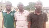 BREAKING: Faces of OPC members detained over Wakili's arrest finally emerge as they leave police custody