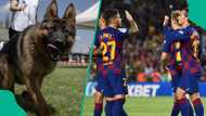 Ex-Barcelona star hospitalised after dog bit him in his private area