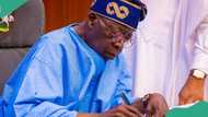 After flood ‘worse than Boko Haram’, Tinubu approves N80b for reconstruction of Alau dam