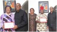 Photos emerge as Peter Obi meets FCT's female senator-elect, Victor Umeh after receiving certificate of return