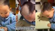 "He wants to go bald": Little boy uses clipper to shave his hair in hilarious video, mum stares in awe