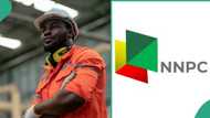 "Apply": Man Breaks Silence About NNPC Job Recruitment As Company Opens Application Portal