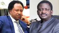Zaben 2023: Tsohon Dan Majalisar Tarayya, Shehu Sani Ya Yi Tsokaci A Kan Masu Juya Aso Rock