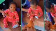 Little baby attempts to grab head of live chicken given to her as Christmas gift, video goes viral