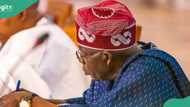 Tinubu makes fresh appointment in key government agency, details emerge