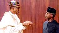 Buhari, Osinbajo to earn jumbo allowance package? Fresh details emerge