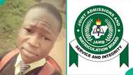 UTME 2026: Science student gets unexpected result, posts screenshot of scores he saw
