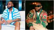 "We have 1 Nigeria, we'll do what it takes to make it better": Davido reacts to OON conferment by FG