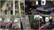 Man discovers old abandoned mansion with 100s of cars, lovely paintings & luxury furniture, shares clip of it