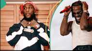 Burna Boy's Glastonbury show breaks net as he orders male and female fans to undress, video trends