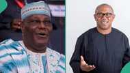 Is It true Atiku stepped down for Peter Obi in 2027 race? Facts emerge