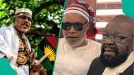 Ohanaeze blows hot over Sowore-led Abuja protest; arrests of Nnamdi Kanu’s brother, lawyer