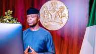 Shasha represents unity, recent mayhem unfortunate - Osinbajo