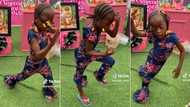 "She no dey hear word": Bold little girl displays rugged dance moves at party, guests scream in video