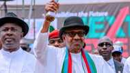 Just in: Days to rescheduled polls, Katsina rice farmers pledge, drum support for Buhari
