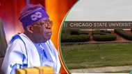 Chicago varsity's registrar said Tinubu forged his certificate? Here’s raw transcript of deposition