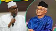 APC reacts as Buhari breaks silence after El-Rufai’s claim on defection to SDP: “Unalloyed loyalty”