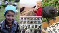 Little girl feeds birds, gets precious gifts from them, showcases what they gave her