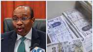 CBN finally speaks on plans to print 5,000 naira notes after a video surfaced online