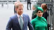 Prince Harry, Meghan Markle May Choose American Godparents for Baby Lilibet, Oprah Winfrey Speculated