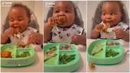 Baby with few teeth 'finishes' fried chicken like hungry man in video, empties his plate, many react