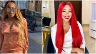BBNaija's Erica excited as she hits 500k followers on Twitter