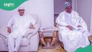 APC leaders meet Buhari as Atiku, El-Rufai plot to sack Tinubu