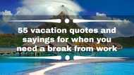 55 vacation quotes and sayings for when you need a break from work