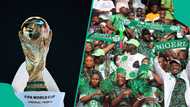 2026 World Cup drama: Nigerians await FIFA decision on NFF’s DR Congo petition