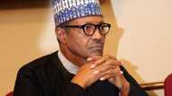 Majalisar dattawa ta fada wa ministan Buhari idan bai yi a hankali ba sai an tura shi kurkuku