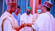 Buhari told us who his preferred successor is, northern APC governor reveals
