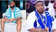 "Their quarrel no go last": Netizens hopeful that Davido and Cubana Chiefpriest will go back to being besties