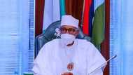 An gano abin da Buhari ya fadawa Shugaban kasar Afrika ta Kudu kafin ya lula zuwa Dubai