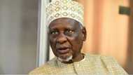 Northern elder statesman tells southeast region how to achieve Igbo presidency