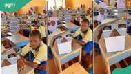 Primary 6 boy makes bag with wood, fills it with his books and brings it to school