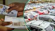 Dealers raise concern as rising forex rates, customs duties crush tokunbo vehicle imports