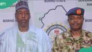 Borno gov lists 3 secret locations terrorists are comfortably situated
