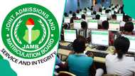 2025 UTME results: Only 0.63% scored above 300 out of 1.9 million candidates, what the numbers say