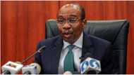 Naira Design: Emefiele named man of year as stakeholders laud CBN’s chief