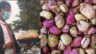 Corporate Hustler: Video captures man hawking kola-nut and bitter kola while dressed in shiny suits