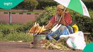 Can one earn N2.5 million a month selling roasted corn? Nigerians react to viral corn seller's video