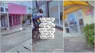 Lagos na your mate: Nigerian lady shows shop with over N2m yearly rent, video causes stir online