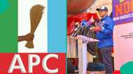 Inflammatory statement: Peter Obi drags popular APC senator