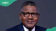 Apply: Dangote Group opens 2025 trainee programme for Nigerian graduates