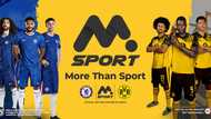 MSport 2025: Nigeria’s #1 sports betting site powered by Chelsea & BVB