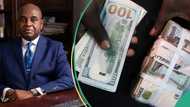 “The only way”: Moghalu speaks on solution to naira's free fall as one dollar sells above N1,300
