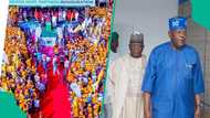 Abdulaziz Yari ya fadi yadda ya zama sarkin yakin zaben Tinubu cikin dubunnan 'yan APC