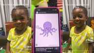 "She is very clever": Funny moment little girl pronounces octopus as 'ospotus', goes viral on TikTok